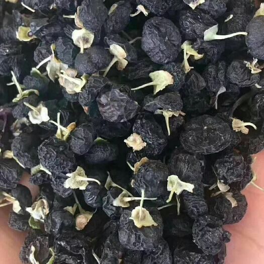 酒泉 甘肃黑枸杞一斤包邮