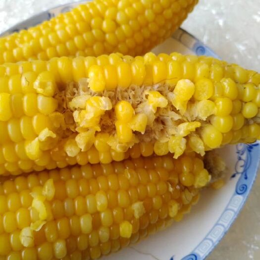 绥芬河市速冻玉米粒 2019年速冻黏玉米走起，想吃的赶紧联系我