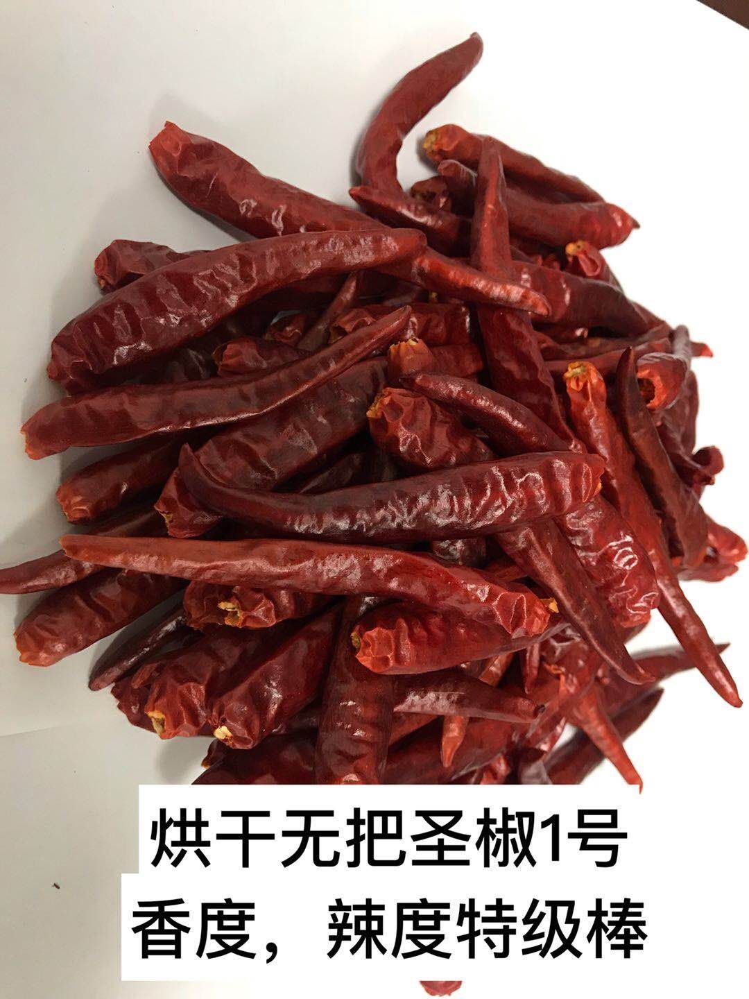 尖椒 5~10cm 红色 中辣