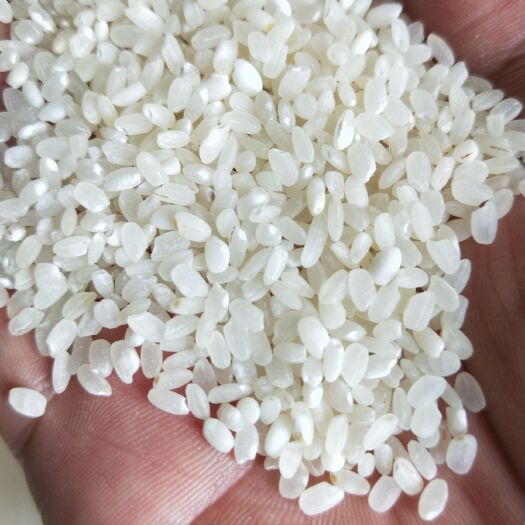 怀远县南梗46号大米 二等品 早稻 籼米