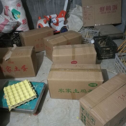 钟祥市土鸡蛋 食用 简包装 