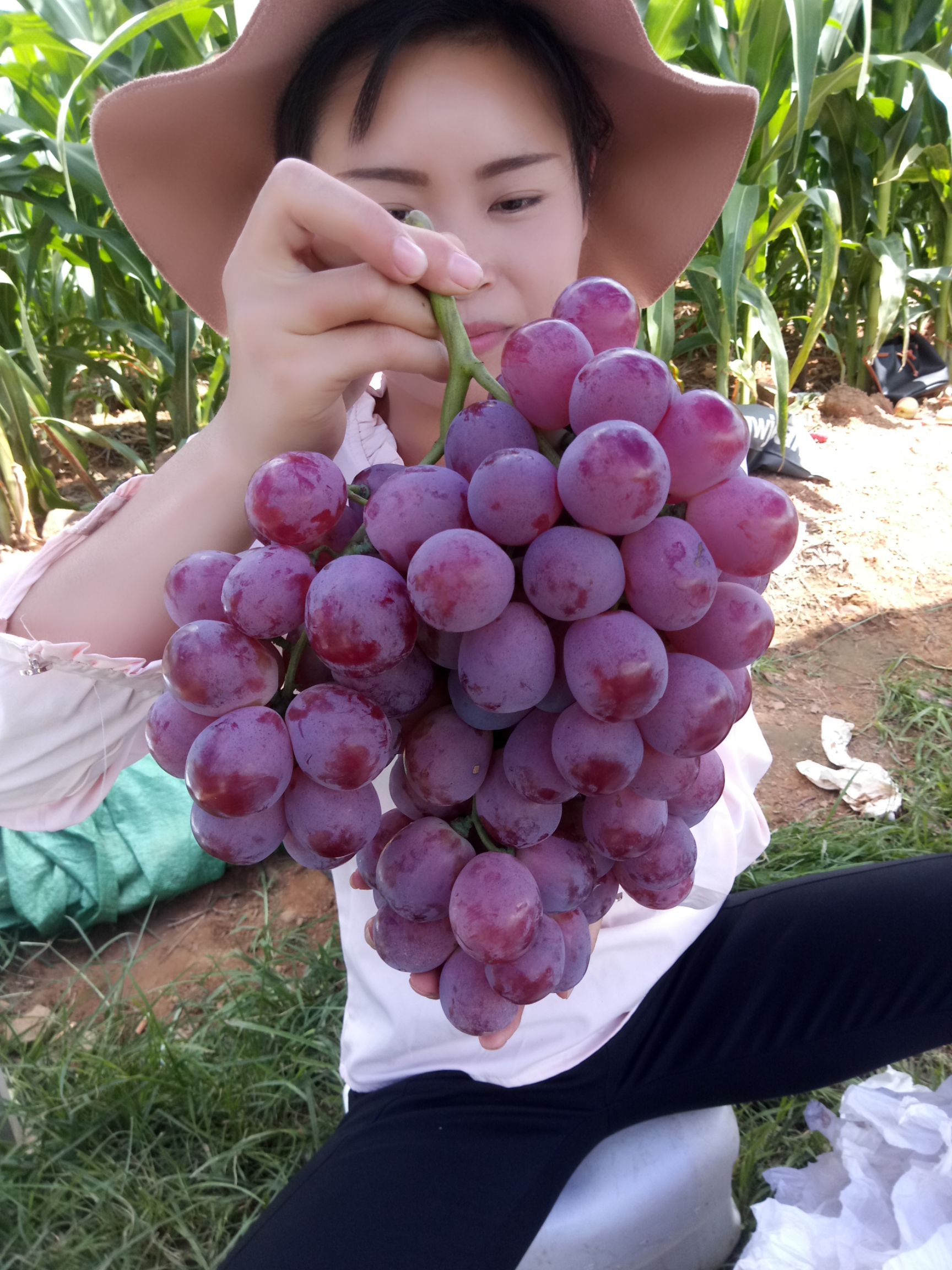 红提高清图片大全大图图片