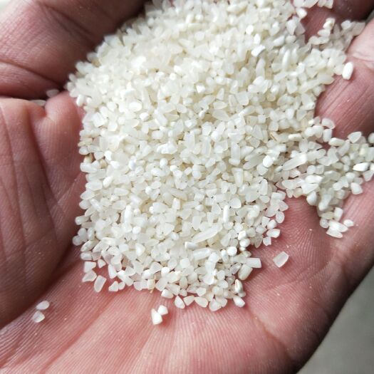 碎米 二等品 早稻 籼米