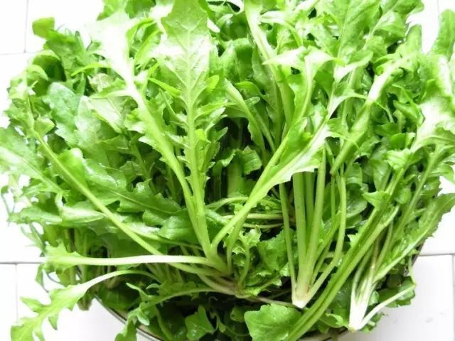南阳荠菜