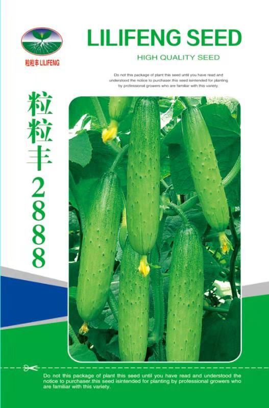 水果黄瓜种子 2018全雌型