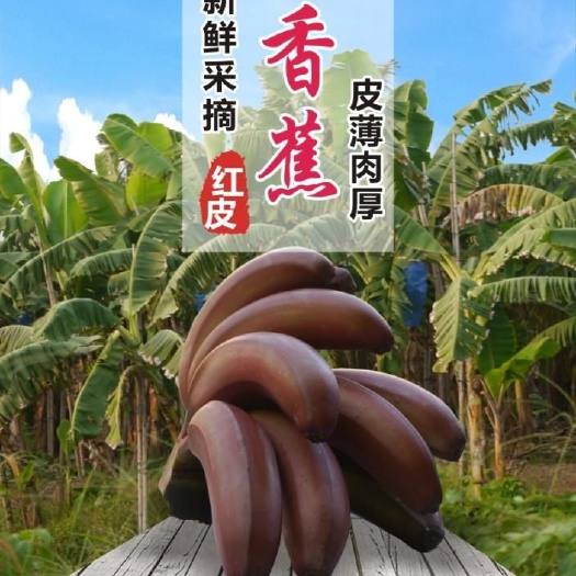 南靖县红香蕉 福建漳州红皮香蕉火龙蕉红美人香蕉5斤装包邮