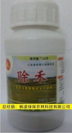 咸阳高羊茅早熟禾黑麦草等禾本科草坪禾本科杂草除草剂一除禾