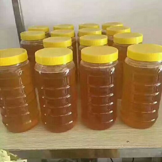 罗定市荔枝蜜 塑料瓶装 95%以上 2年 