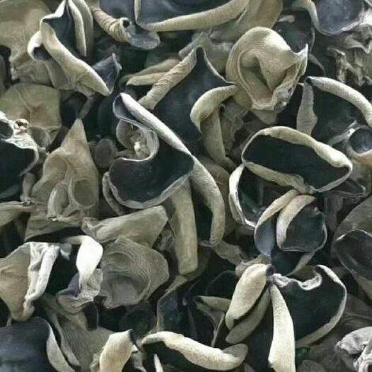 哈尔滨 黑龙江黑木耳产地直供