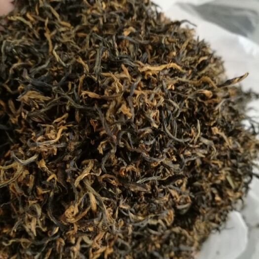寿宁县金骏眉