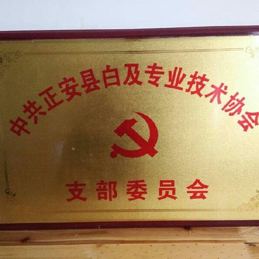 正安县白芨种子
