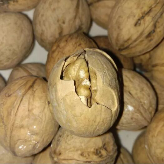 叶城县新疆185核桃