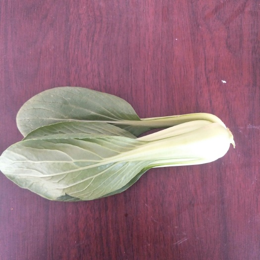 金品1夏青梗菜 2~3两