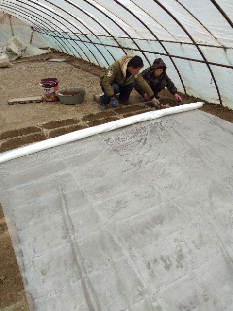  稻花香大米 非有机大米 晚稻 一等品