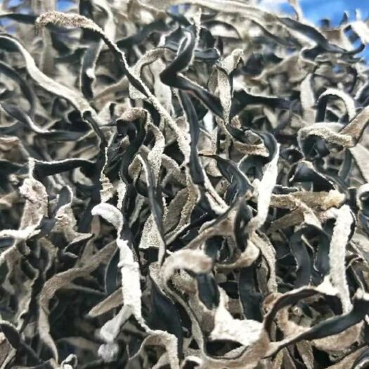黑木耳  木耳丝产地直发  品质好 全国包邮！！