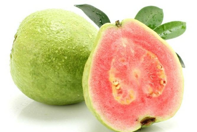 漳州番石榴苗  西瓜红，红心芭乐苗，