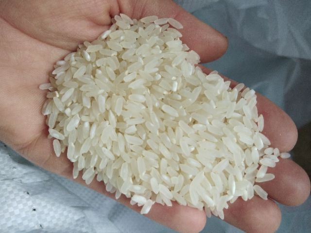  稻花香大米 非有机大米 晚稻 一等品