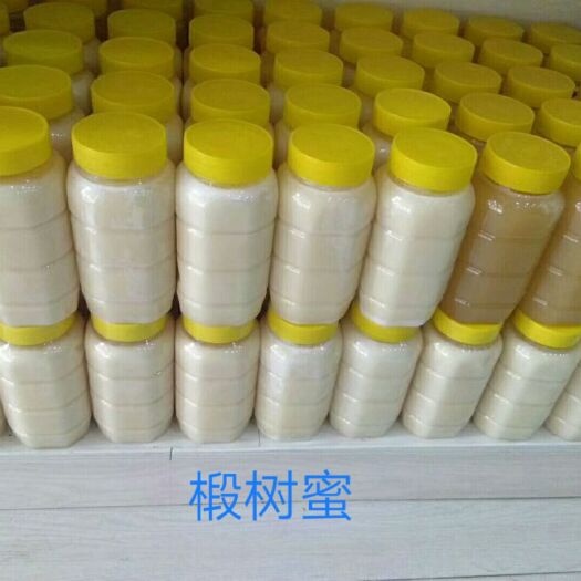 饶河县黑蜂蜂蜜 塑料瓶装  2年以上 