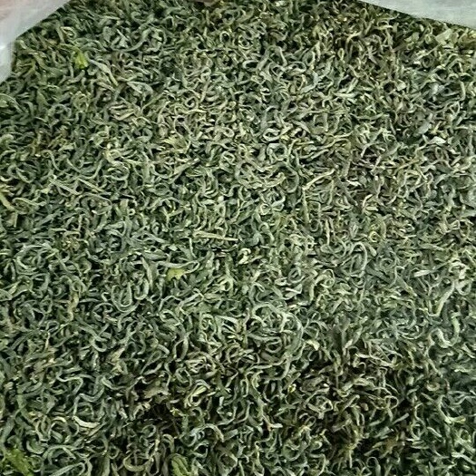 商南县陕南绿茶 明前春茶