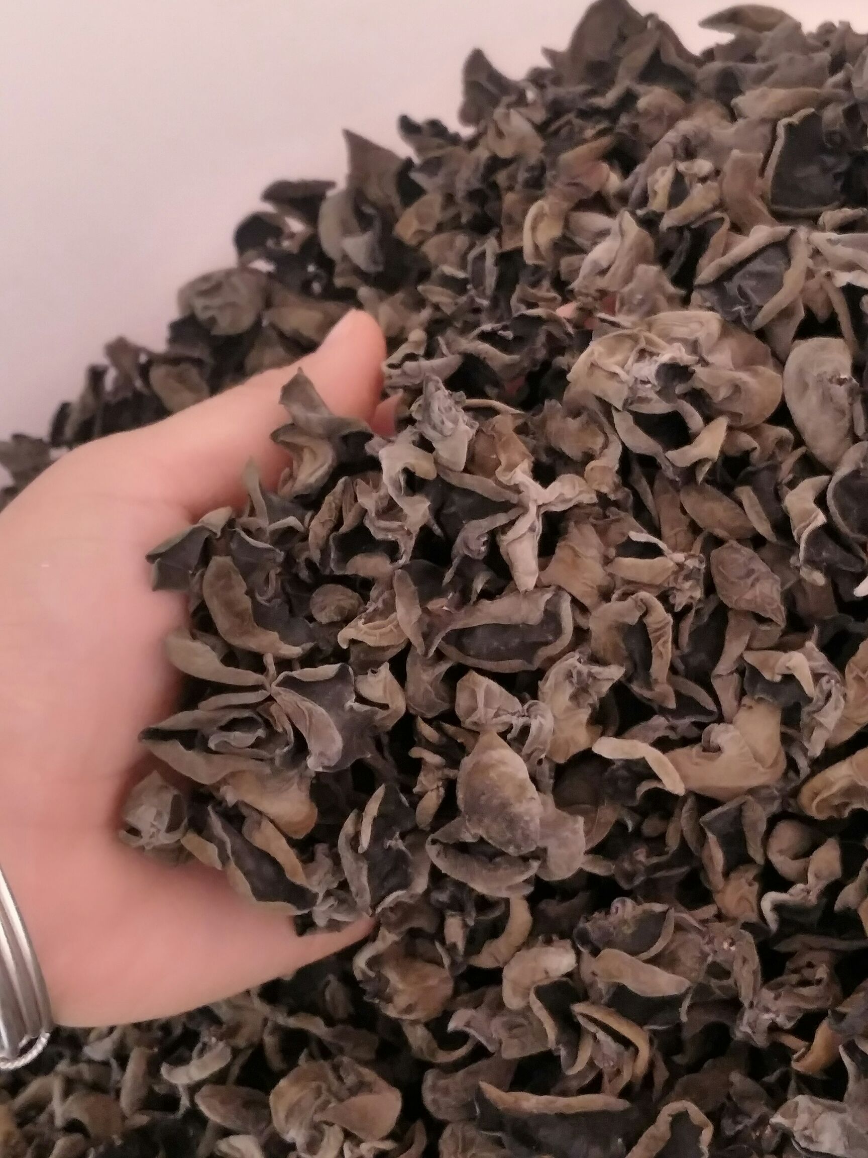  东北黑龙江黑木耳 肉厚无根小碗耳