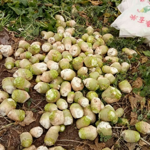 简阳市盘菜
