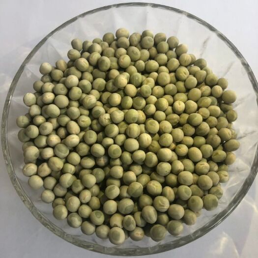 青岛豌豆荚  绿豌豆 加拿大 鸽粮 炒货 水发 油炸