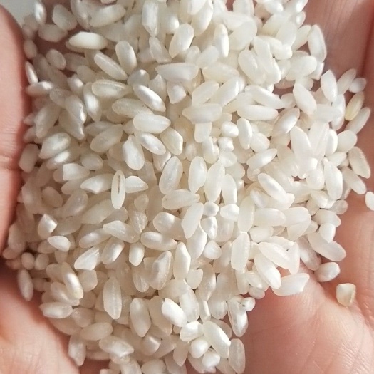 乐昌市22年早稻米可以做肠粉，河粉，米线米饺等大米食品，重金属不超
