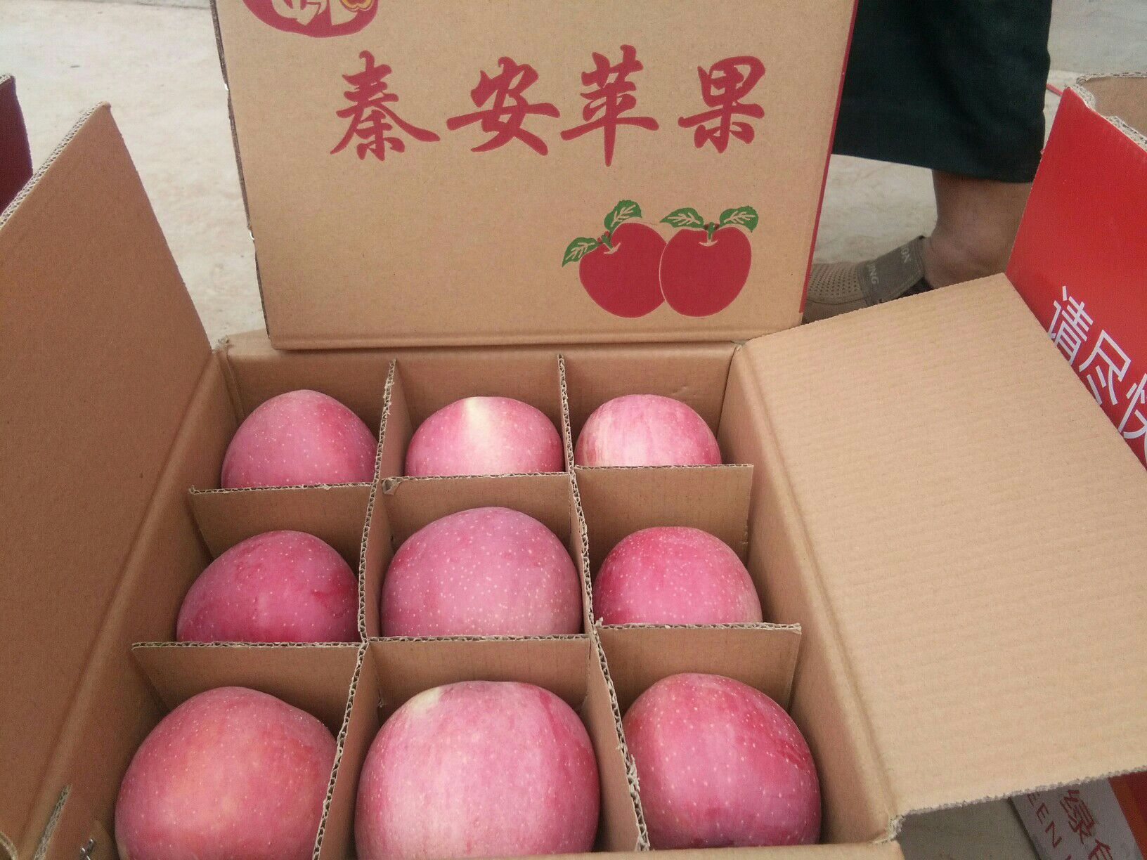 品种名:红富士苹果 果径:85mm以上 颜色:片红 是否套袋:纸袋 货品包装