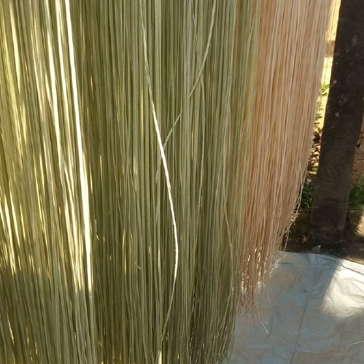 巴中杂粮蔬菜面条