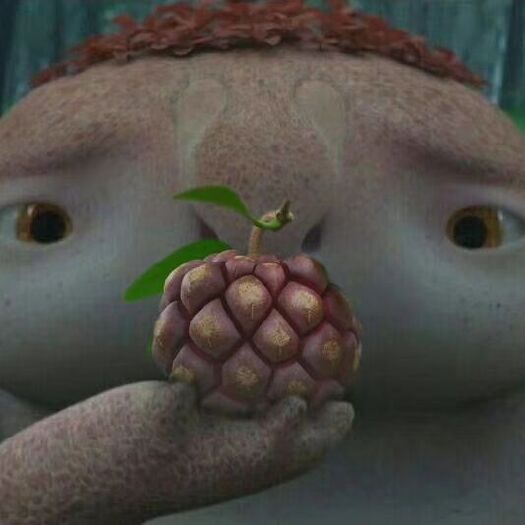 龙胜县黑老虎种子 