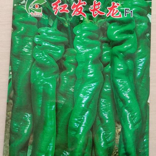 兰陵县牛角椒种子 95%以上 杂交种
