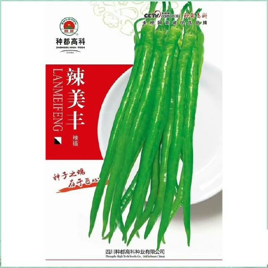 成都线椒种子 95%以上 杂交种