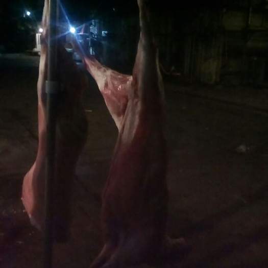 武汉白条羊 生肉