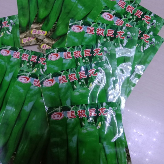 兰陵县牛角椒种子 95%以上 杂交种