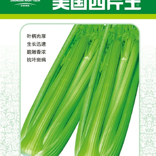 成都芹菜种子，种都高科！