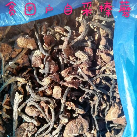 汪清县野香菇干 散装 1年 