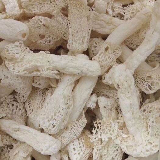 昆明竹荪蛋 10mm~15mm 10cm~15cm 干竹荪 特级 