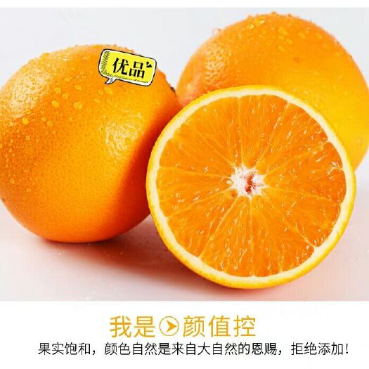 麻阳县冰糖橙 55mm以下