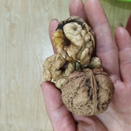 丽江云南核桃 