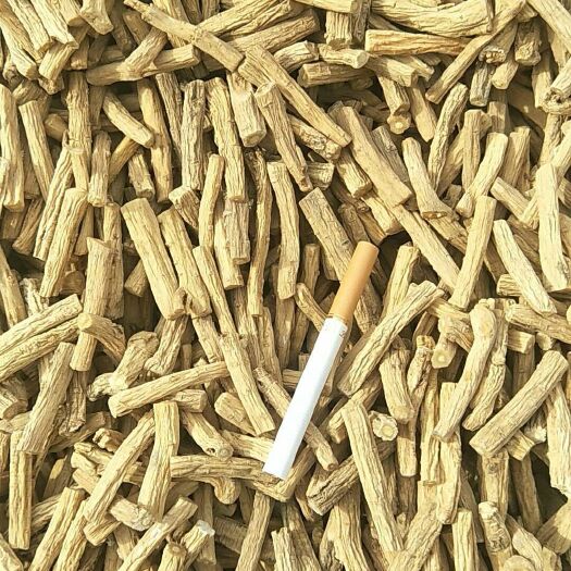 陇西县白条党参