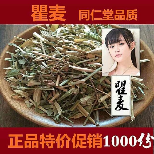 安国市瞿麦
