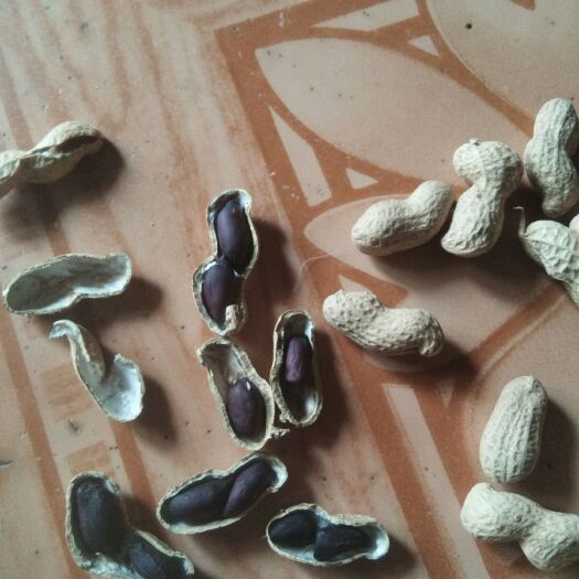 菏泽带壳花生 干货 带壳花生