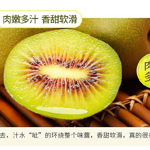 芷江县红心猕猴桃苗 嫁接苗 
