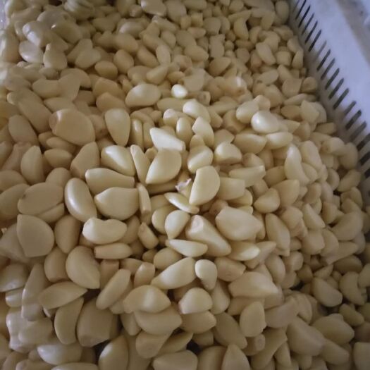 兰陵县蒜米 混级统货 多瓣蒜 
