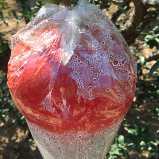 礼泉县御石榴 喜欢吃水果的朋友可以给自己或家人选购一箱维c含量是苹果和梨两