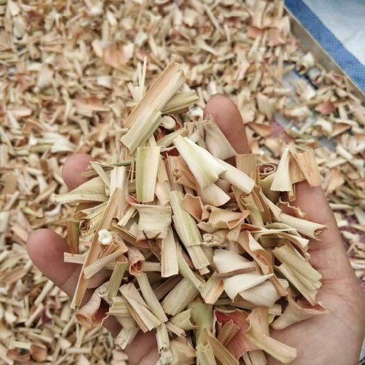 防城港香茅草
