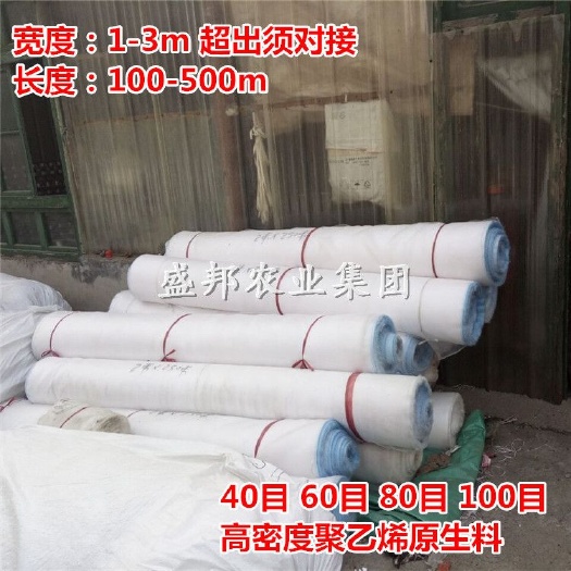 寿光市大棚蔬菜防虫网 果树防虫 昆虫养殖网 池塘