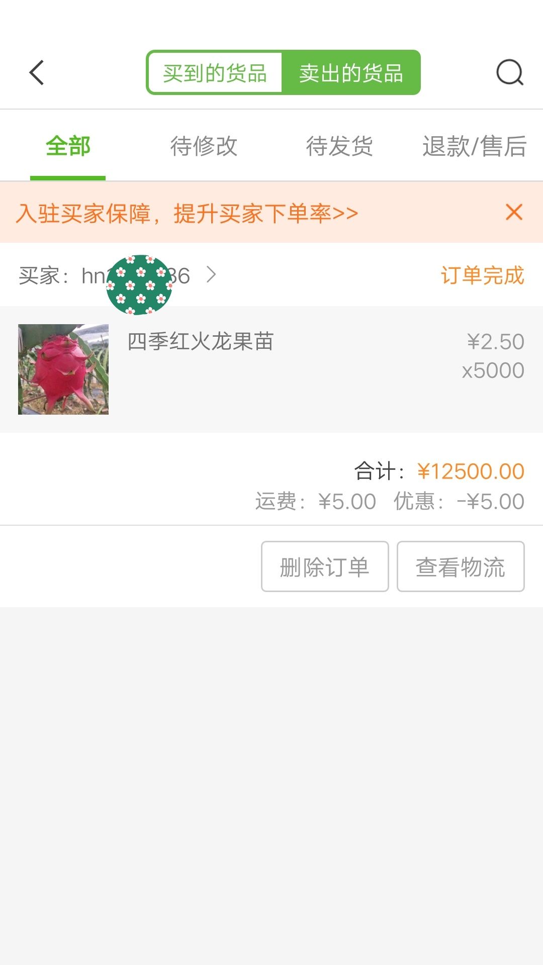 红皮红肉火龙果苗