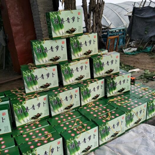 潍坊潍县青萝卜 1~1.5斤 