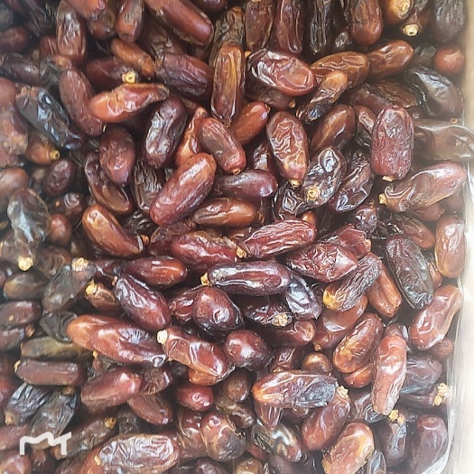 沧县椰枣 合格品 